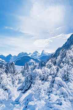 冬天仙境神奇的圣诞节景观雪山森林覆盖雪假期背景