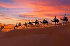 骆驼商队撒哈拉沙漠沙漠摩洛哥日落
