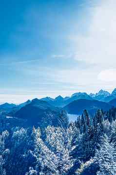 冬天仙境神奇的圣诞节景观雪山森林覆盖雪假期背景