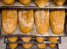 面包面包店食物工厂生产新鲜的产品