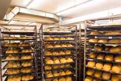 面包面包店食物工厂生产新鲜的产品
