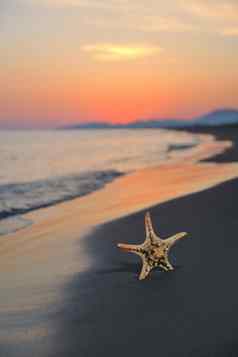 夏天海滩日落明星海滩