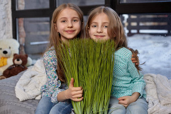 图像可爱的姐妹坐着窗台上玩麦草