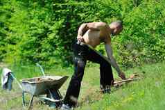 男人。花园工作