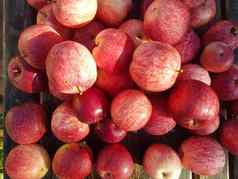 新鲜的红色的苹果木表格