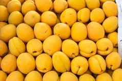 美丽的图片很多大新鲜的黄色的杏出售市场