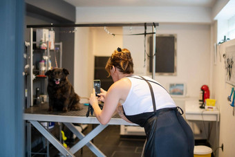 宠物理发师女人采取图片可爱的黑色的狗