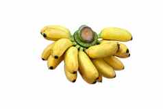 香蕉白色背景香蕉维生素平衡身体
