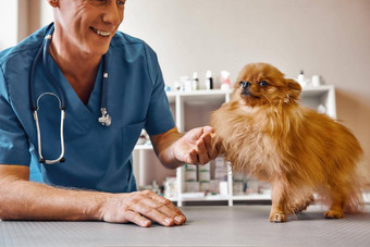 不错的满足<strong>好友</strong>快乐的中间岁的兽医持有狗的爪子微笑站兽医诊所