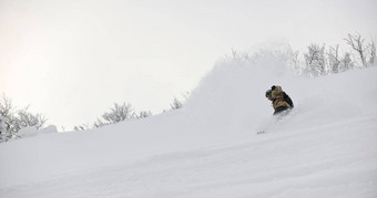 自由泳滑雪