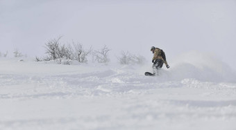 自由泳滑雪