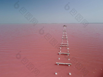 飞行粉红色的盐湖盐生产设施生理盐水蒸发<strong>池</strong>塘字段咸湖杜氏盐藻萨莱纳传授红色的粉红色的水矿物湖干克里斯塔化咸海岸