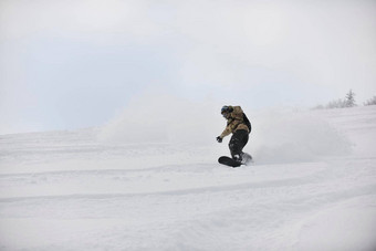 自由泳滑雪