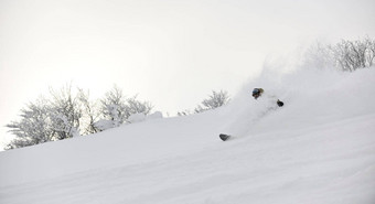 自由泳滑雪