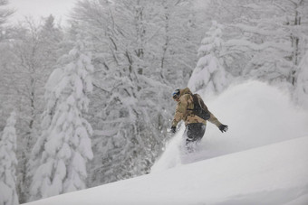 自由泳滑雪