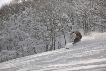 自由泳滑雪