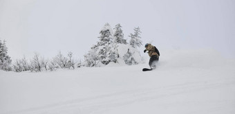 自由泳滑雪