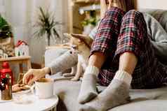 舒适的女人针织冬天温暖的袜子毛衣网纹睡衣吃饼干狗休息沙发上首页圣诞节假期冬天热喝杯子可可咖啡