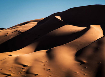 全景视图沙子沙丘撒哈拉沙漠沙漠