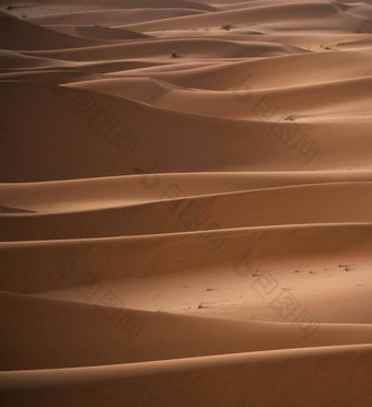 全景视图沙子沙丘撒哈拉沙漠沙漠
