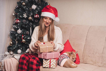 女人圣诞老人他包装圣诞节礼物盒子小狗狗毛衣女坐准备礼物沙发上装饰圣诞节树快乐圣诞节一年Diy包装概念