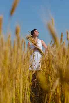 年轻的女人小麦场夏天