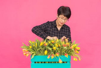 中年女花店持有蓝色的木盒子<strong>郁金</strong>香粉红色的背景