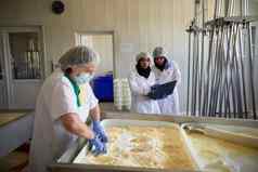 工人准备生牛奶奶酪生产