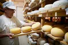 奶酪制造商存储货架上完整的牛山羊奶酪
