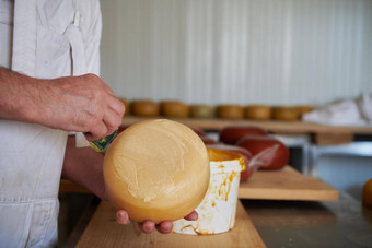 奶酪制造商当地的生产工厂