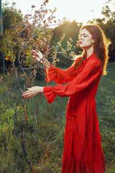 女人红色的衣服场树摆姿势夏天