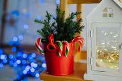 作文红色的锅松柏科的分支机构莱丁斯拐杖白色房子圣诞节装饰