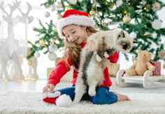 孩子女孩布偶猫猫圣诞节时间