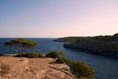 沿海景观悬崖植被地中海海