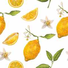 柠檬水彩无缝的模式植物壁纸