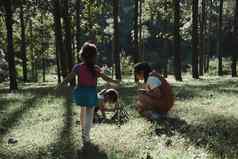妈妈。女儿收集柴火引火物篝火野营的地方森林家庭孩子们使篝火自然森林家庭野营支出时间假期