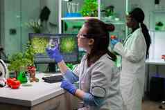 化学家研究员女人医生持有佩特里菜绿色叶样本