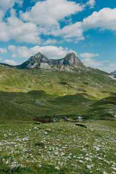 山通过鞍北黑山共和国神奇的绿色视图鞍山Durmitor巨大的黑山共和国