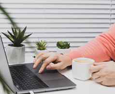 女人粉红色的毛衣作品移动PC手白色杯咖啡距离学习工作浏览网站咖啡馆