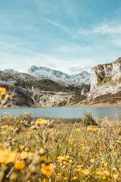 风景如画的夏天景观高地美丽的景观山的观点全景拉各斯科瓦东加峰欧洲国家公园阿斯图里亚斯西班牙