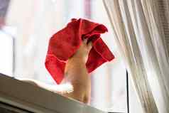 男人。擦拭窗口红色的超细纤维地毯清洁服务概念做家务管家概念