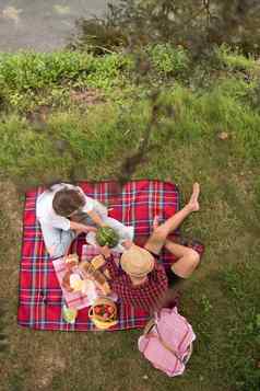 前视图夫妇享受野餐时间