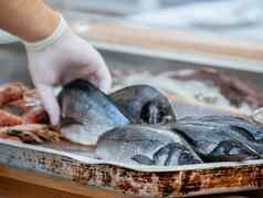 男人。手手套把鱼保存冰新鲜餐厅街市场黑山共和国海鲜市场软焦点地中海海鲜新鲜的有机海鲤科鱼多拉达
