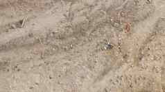 沙子干河底模糊的图像沙子模式