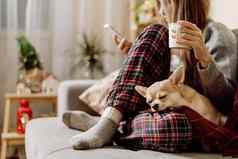 舒适的女人针织冬天温暖的袜子毛衣睡觉狗网纹格子持有杯热可可咖啡休息沙发上首页圣诞节假期冬天饮料