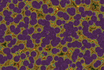 假的形状细菌细胞收拾残局分子研究微生物微生物<strong>学科</strong>学医学插图