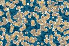 假的形状细菌细胞收拾残局分子研究微生物微生物学科学医学插图