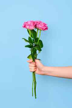 温柔的粉红色的玫瑰花束手孤立的蓝色的背景时尚的横幅情人节一天国际女人的一天母亲一天