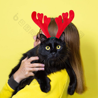 女孩黄色的衣服持有亲爱的毛茸茸的有趣的黑色的猫黄色的眼睛圣诞节驯鹿鹿角头巾黄色的背景圣诞节猫