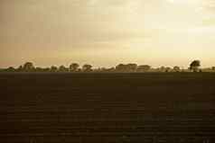 伊利诺斯州农田美国中西部农业照片集合伊利诺斯州状态美国